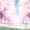 sakuraff909