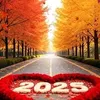 aly04634zau
