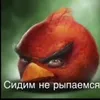 user4619801222074