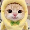 luv_luv152