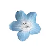 marlies8139