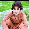 asad.gulli08