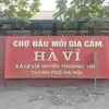 chogiacamhavi