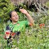 pinmn.lakchi05