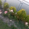 user47571171417660
