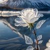 sunaadam4
