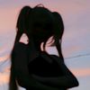 31388504vnp