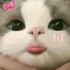 ngoc.uyen.6