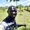 onana7429