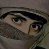 user3082236261012