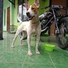 user840903741978