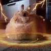 dinosaur_stan