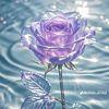 user5100498002713
