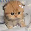xyz_ningg22