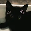__1_dead