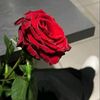 user551184220421