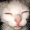 soturka_125