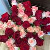 farxiyo.ahmed37