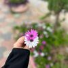 emany_writes7