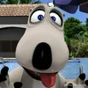 belcuuu2