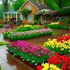user44812573609460