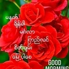 nanda.kyaw788