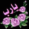 user39003065257