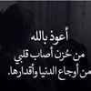 user66142171433077