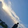 lius_1237