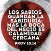 amor78978