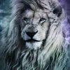 mohamed.amine.bfd
