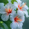 md.rofiq.islam89
