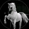 imad2006e