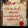 sarwar.afridi8