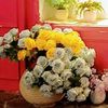 user6211216282403
