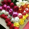 boualam262