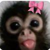 sarai_22.4