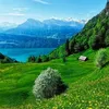 user5096199011127