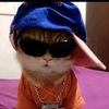 liljessyboi