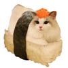 poksmsf