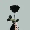 user9790520025779