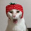jisoongie_stay