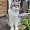 mako_092321
