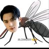 kinn__070