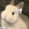 llvanilla_
