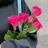 n_h_h78
