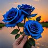 md.jisan.nisan