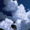 aimimo