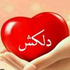 dilkashshigri2