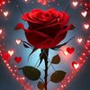 ines__ines158
